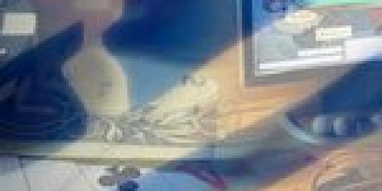 OPAP Rules Greece as Government Blocks 401 Foreign Gambling Site