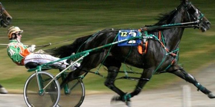 Harness Drivers in New Zealand Can No Longer Bet On Races They Compete In