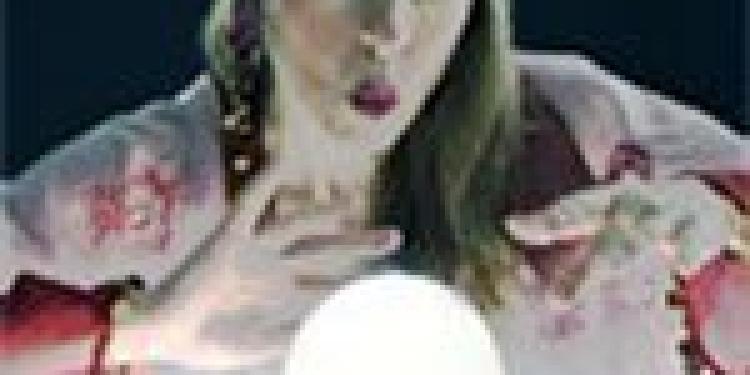 Hungarian Online Gambling Tax Starts in 2012 Vows Economy Minister