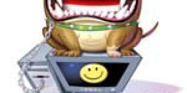 Indonesians Rage over Net Censorship Announcement