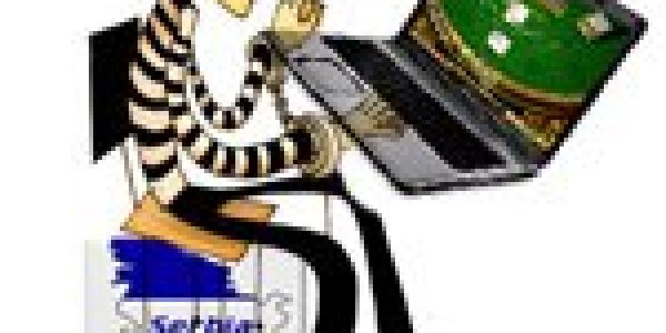 Two Serbian Online Sportsbook Operators Arrested