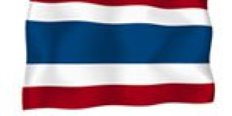 Thai Police Report 259 Arrests for Illegal Gambling in First Four Days of 2010 World Cup