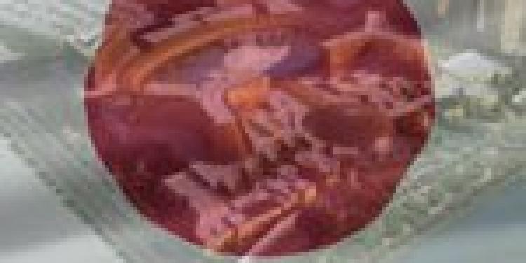 Japanese Lawmakers Pass Draft Casino Bill