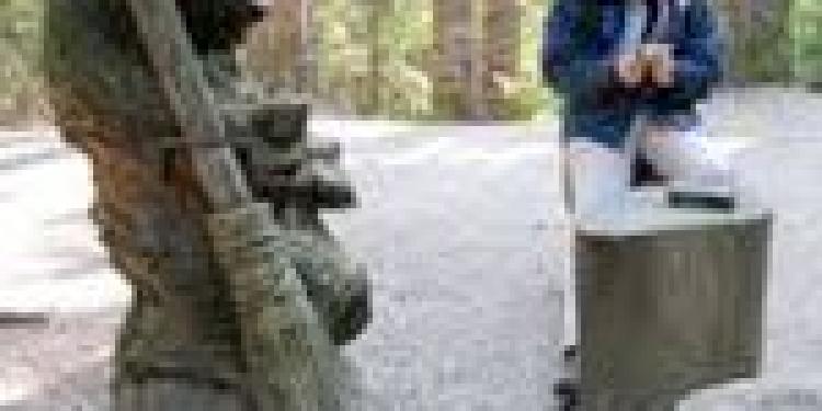 Regulator Lowers Lithuania Casino Permit Cost for Gambling Houses