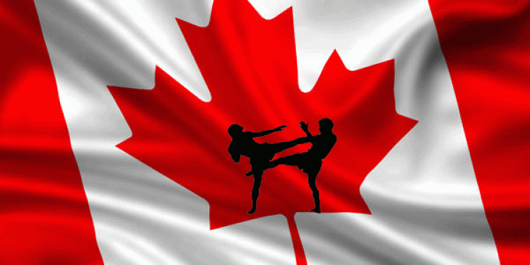 Looking to Bet on MMA in Canada Online? Check out BetVictor Sportsbook!