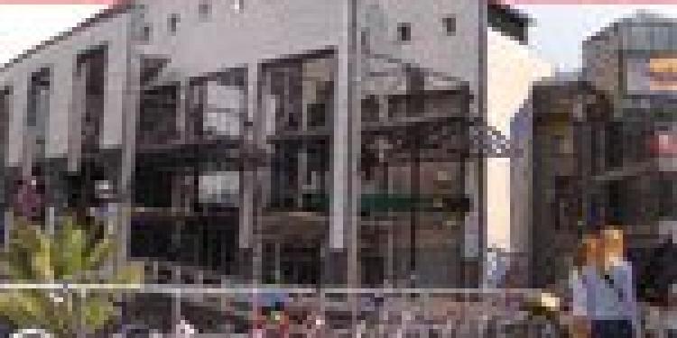 Netherlands Gov. May Sell Pernicious Holland Casino Gambling Monopoly