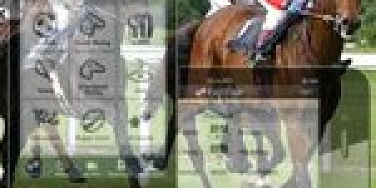 Mobile Betting on Horse Races is On Course for New Jersey