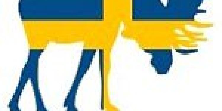 Illegal Online Gambling Operation Shut Down in Sundsvall, Sweden