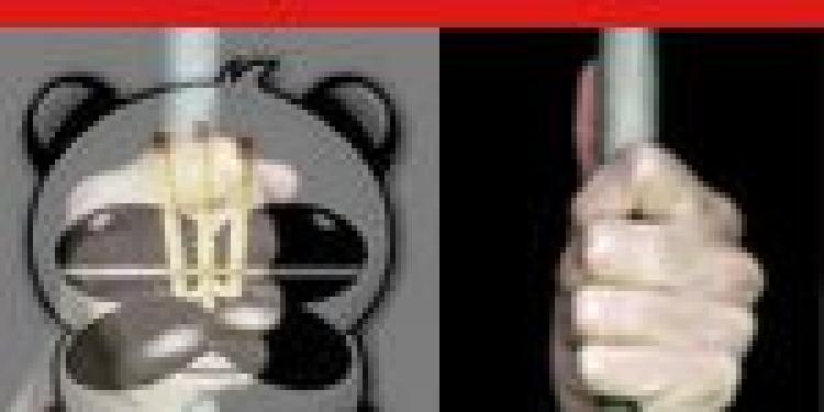 Panda Virus Coders Jailed for Illegal Online Gambling Operation