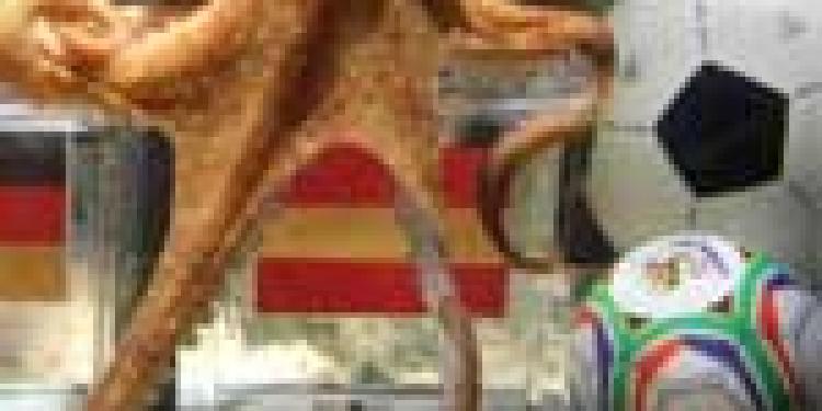 Paul the Octopus, Prophet for Online Sports Betting, Died in German Aquarium