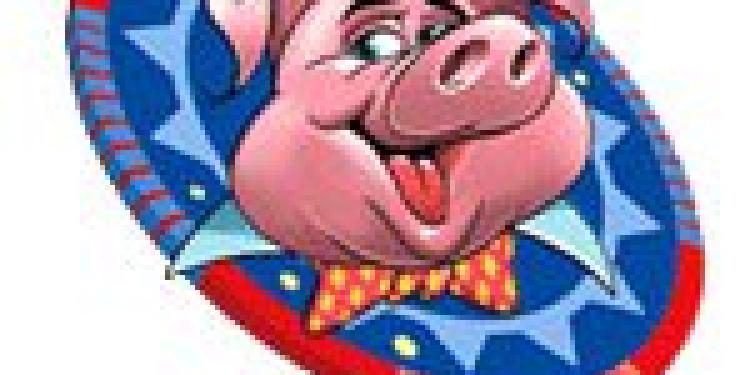 South Africa Cracking Down on Foreign-Based Online Casinos under New Gambling Laws