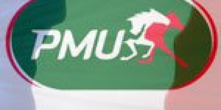 Former French Horse Betting Monopoly Thrives in Liberalized Market