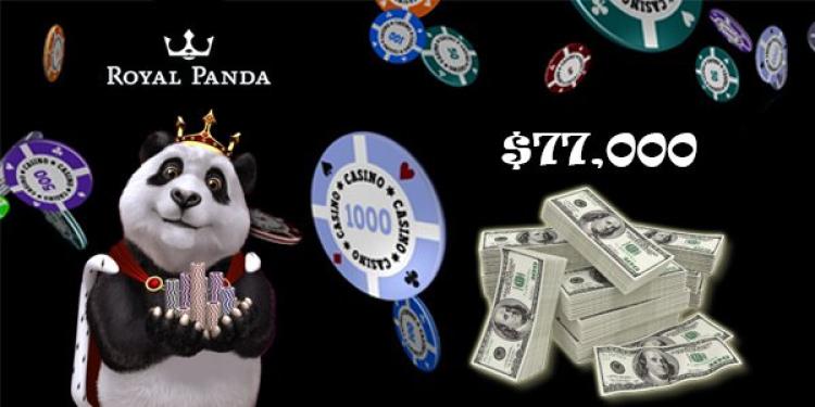 Two Online Casino Winners Won a Combined $77,000 on Slots at Royal Panda Casino!