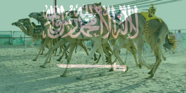 Robots Replace Humans as Jockeys in Camel Races