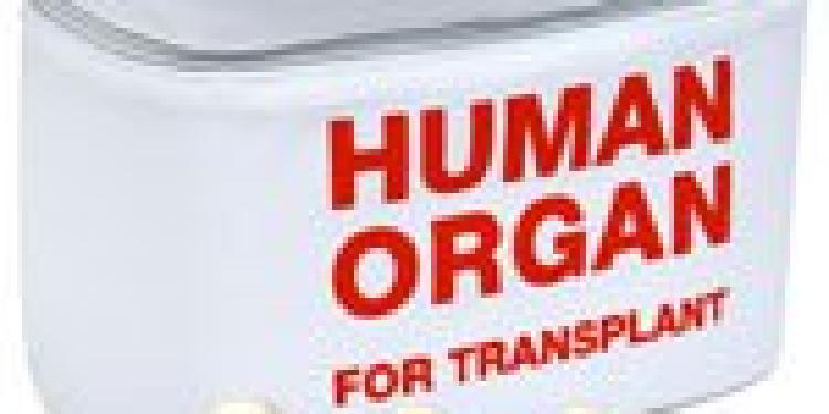 Selling Kidney to Play Mobile Bingo