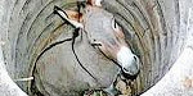 South African Gambling Laws Conference Finds Online Casinos Harmful