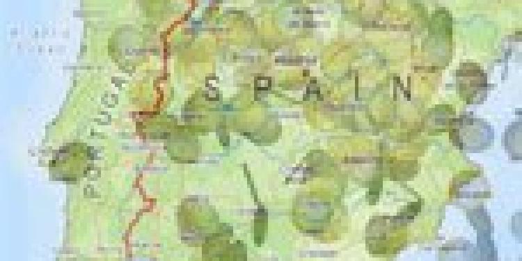 Gambling Regulation Brings Cash to Struggling Iberian Nation