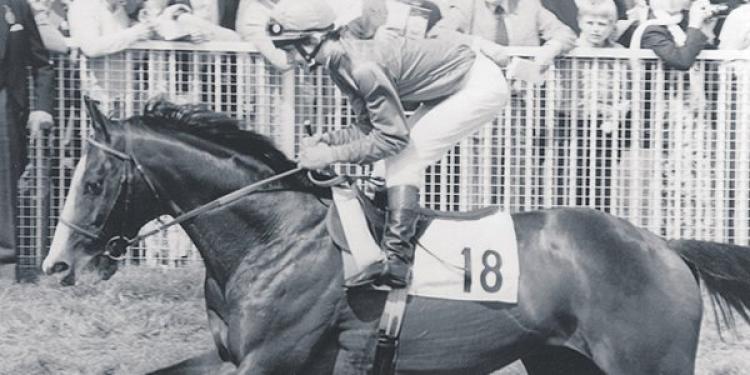 The Development Of Sport and Sports Betting