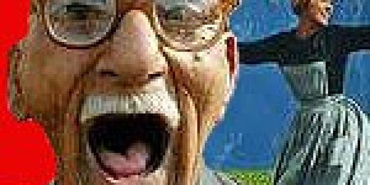 Swiss View of Poker as a Game of Chance Helped Welfare Swindlers Win