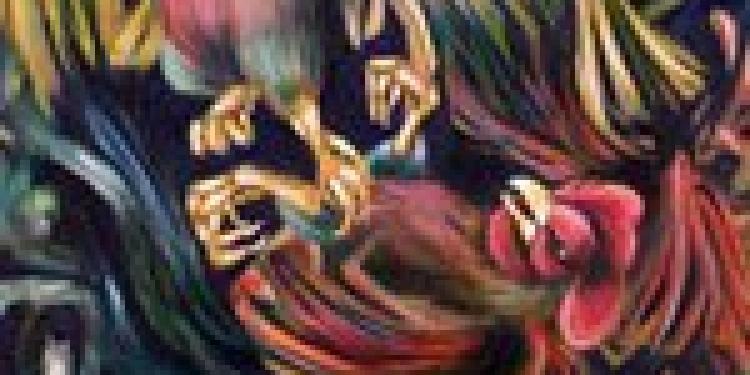 Phuket Cockfight Breaches Thai Gambling Laws, 42 Arrested