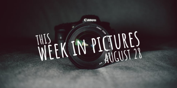 This Week in Pictures: August 21-27, 2017