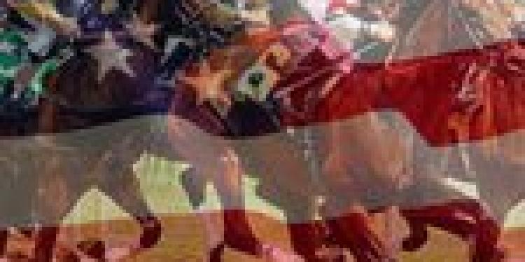 Betting on Horse Racing in America