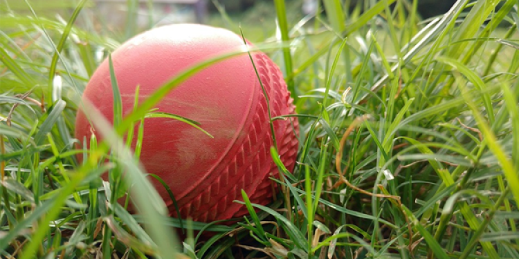 Should You Bet On Australia To Win All Five Ashes Tests?