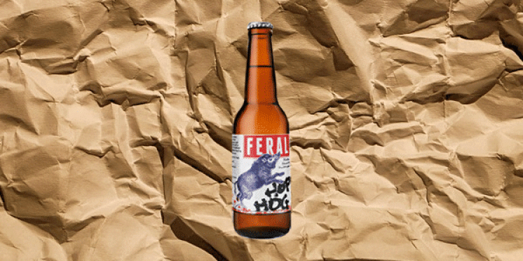 Bet on Craft Beer: The Bookie’s Favourites for the GABS Hottest 100