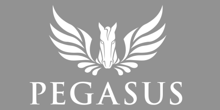 Why Wouldn’t You Bet On The Pegasus World Cup?