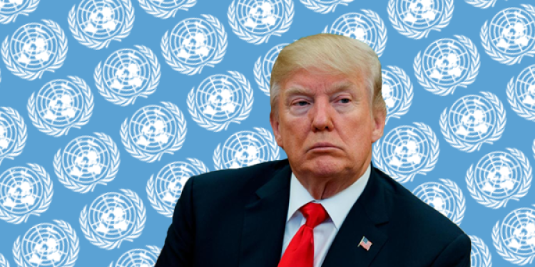US Politics Odds: Trump Could Bring UN Headquarters Outside in US