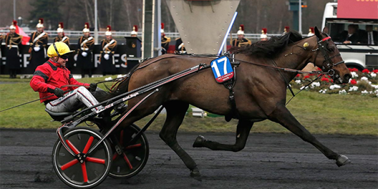 You Are Invited to Bet on Elitloppet 2018: The Elite Race