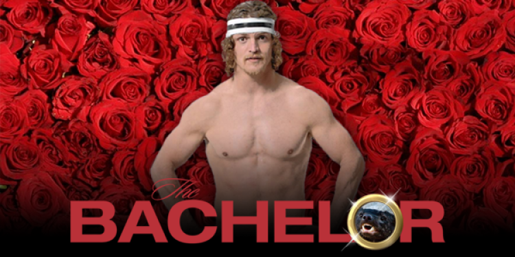 The Best Bachelor Australia Betting Specials: Hair Colour, Proposal, and Underwear