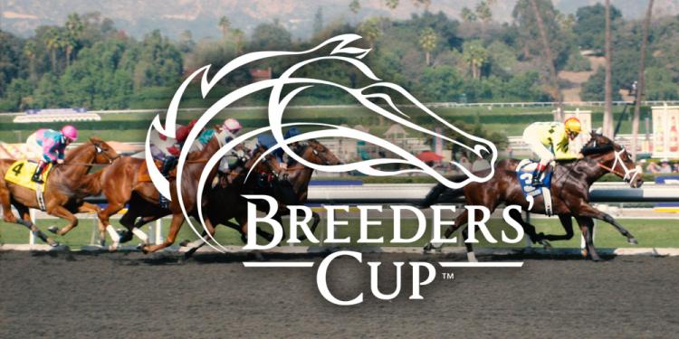 Talismanic’s 2018 Breeders Cup Odds are Tempting