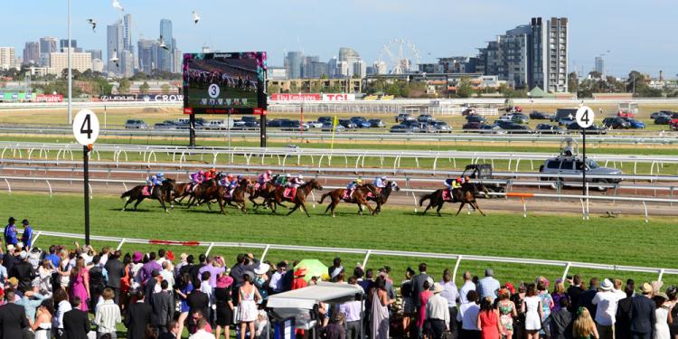 Magic Circle 2018 Melbourne Cup Odds Keep It In The Running