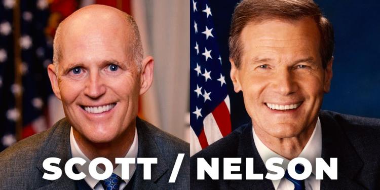 2018 Scott Nelson Senate Race Odds Hide Mickey’s Maneuvers