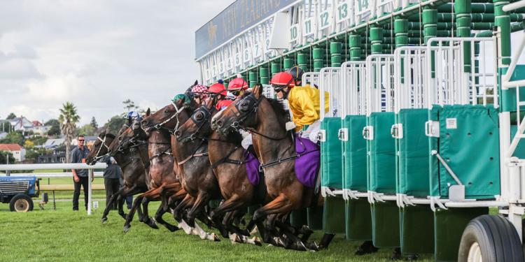 Do The Bookies’ 2019 Hong Kong Sprint Odds Beat The Clock?