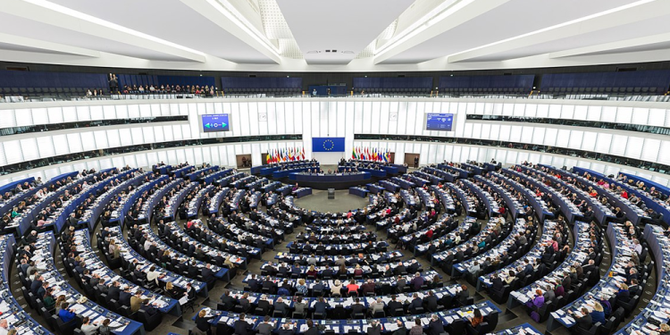 2019 European Parliament Election