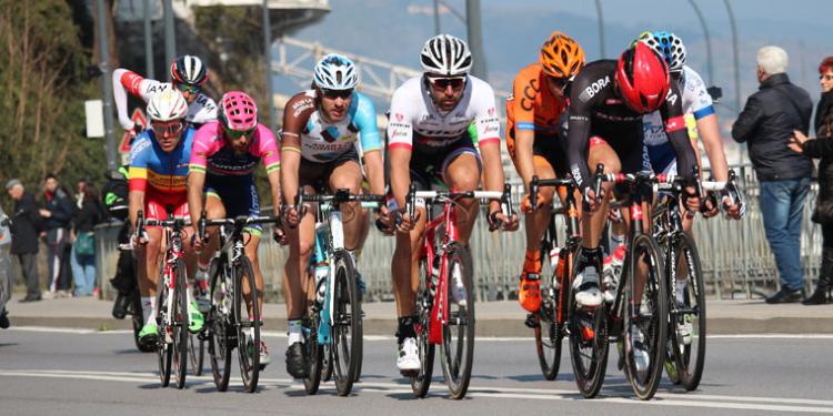 Steer Clear Of The 2019 Milan-San Remo Odds On Peter Sagan