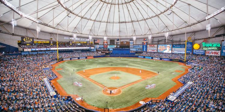 2019 American League Winner Odds: The Rays To Be the Revelation of the Season