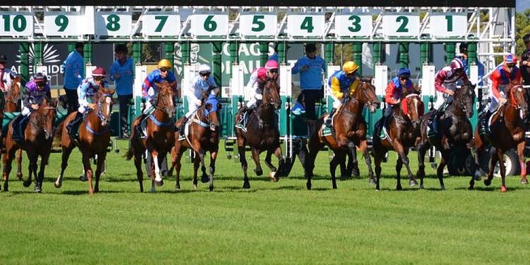 Grab The Great 2019 Lockinge Stakes Odds On Laurens Quick