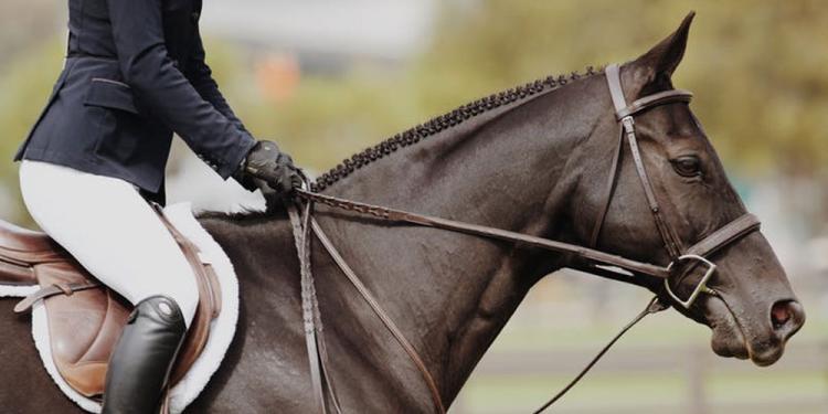 The King George VI Odds Enable Gets Keep On Getting Lower