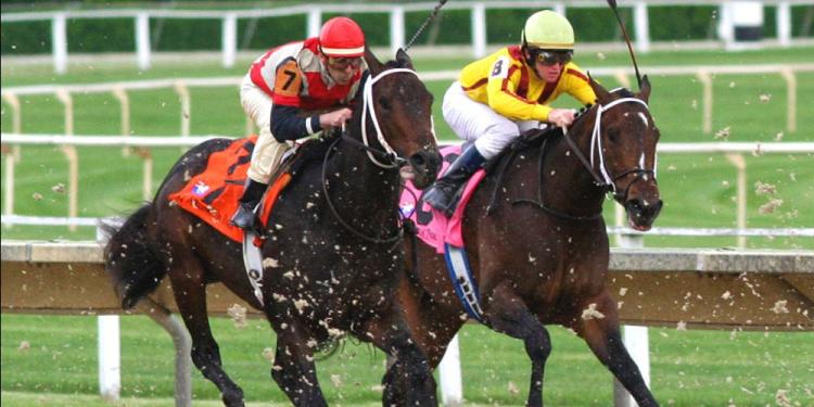 2019 Prix de l’Arc Betting Predictions: Will Enable Be Able to Win Again?