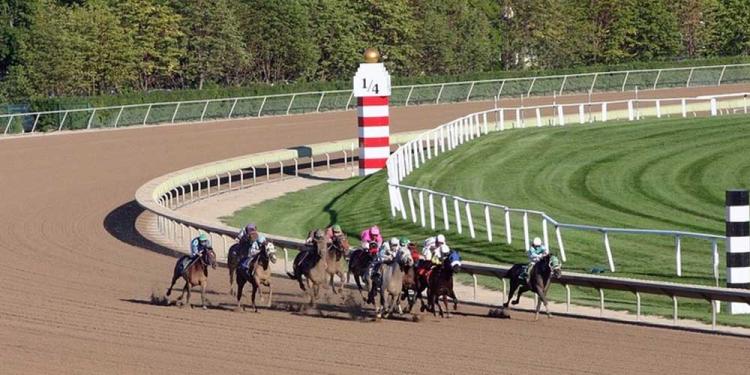 The Lennox Stakes Odds Shine So Bright On Goodwood Day One