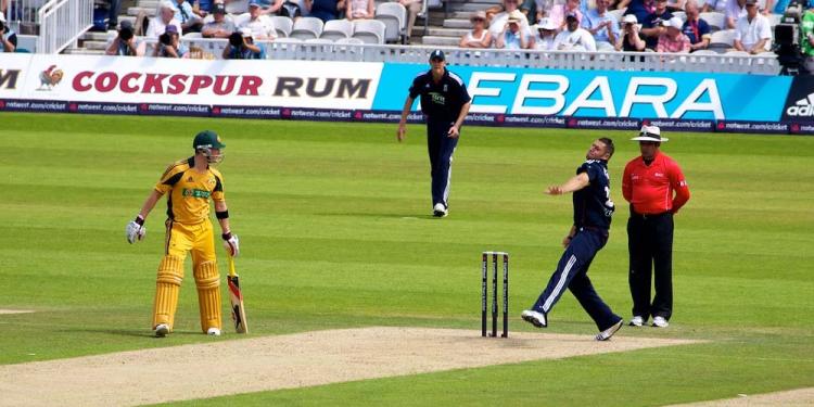 You Should Still Probably Bet On Australia To Win The Ashes