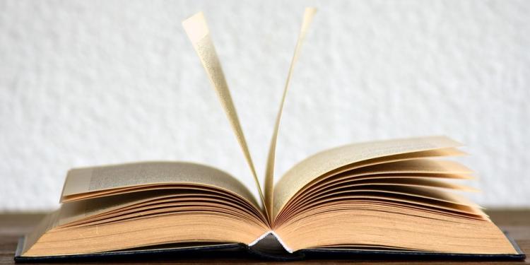 Canadian Poet Anne Carson the Top Seed at 2019 Nobel Prize for Literature Betting Odds