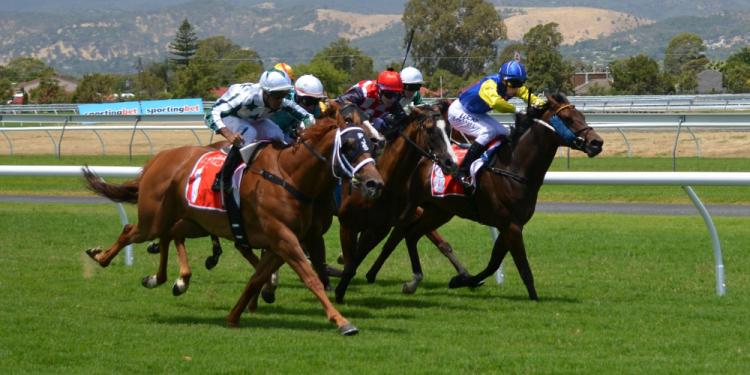 How to Pick a Winning Horse