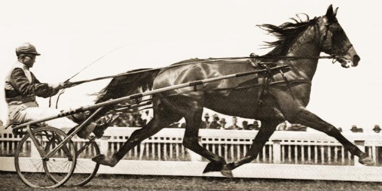 Why Should You Bet on Harness Racing in Australia?