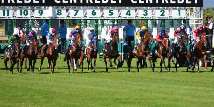 Qualities to be a Bookie