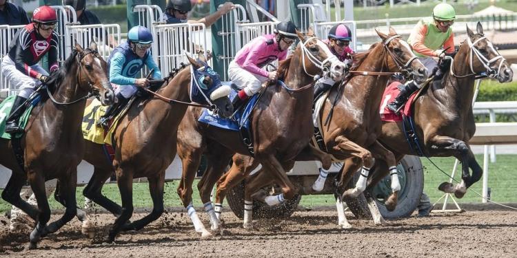 Drugs In Horse Racing