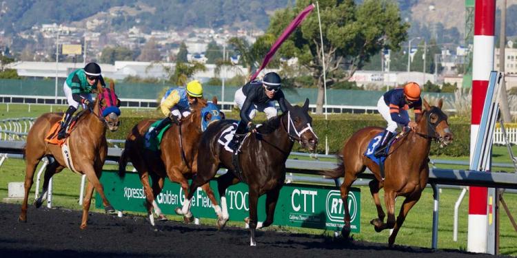 Horse Betting Mistake Cost Punter Dearly